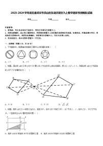 2023-2024学年湖北省武汉市洪山区东湖开发区九上数学期末检测模拟试题含答案