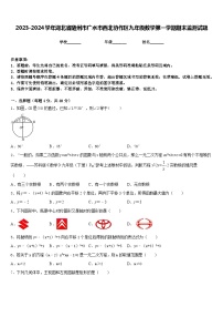 2023-2024学年湖北省随州市广水市西北协作区九年级数学第一学期期末监测试题含答案