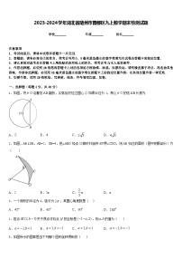 2023-2024学年湖北省随州市曾都区九上数学期末检测试题含答案