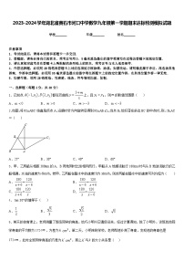 2023-2024学年湖北省黄石市河口中学数学九年级第一学期期末达标检测模拟试题含答案