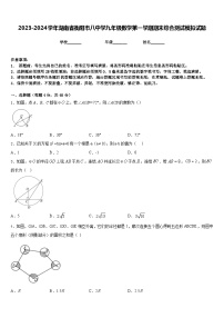 2023-2024学年湖南省衡阳市八中学九年级数学第一学期期末综合测试模拟试题含答案