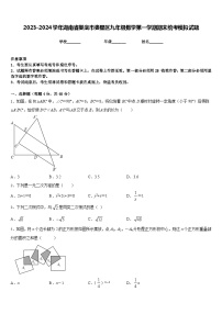 2023-2024学年湖南省娄底市娄星区九年级数学第一学期期末统考模拟试题含答案