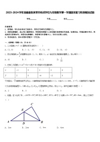 2023-2024学年湖南省张家界市铄武学校九年级数学第一学期期末复习检测模拟试题含答案