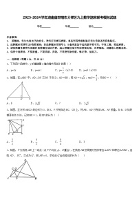 2023-2024学年湖南省邵阳市大祥区九上数学期末联考模拟试题含答案