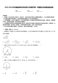 2023-2024学年湖南省娄底市新化县九年级数学第一学期期末质量跟踪监视试题含答案