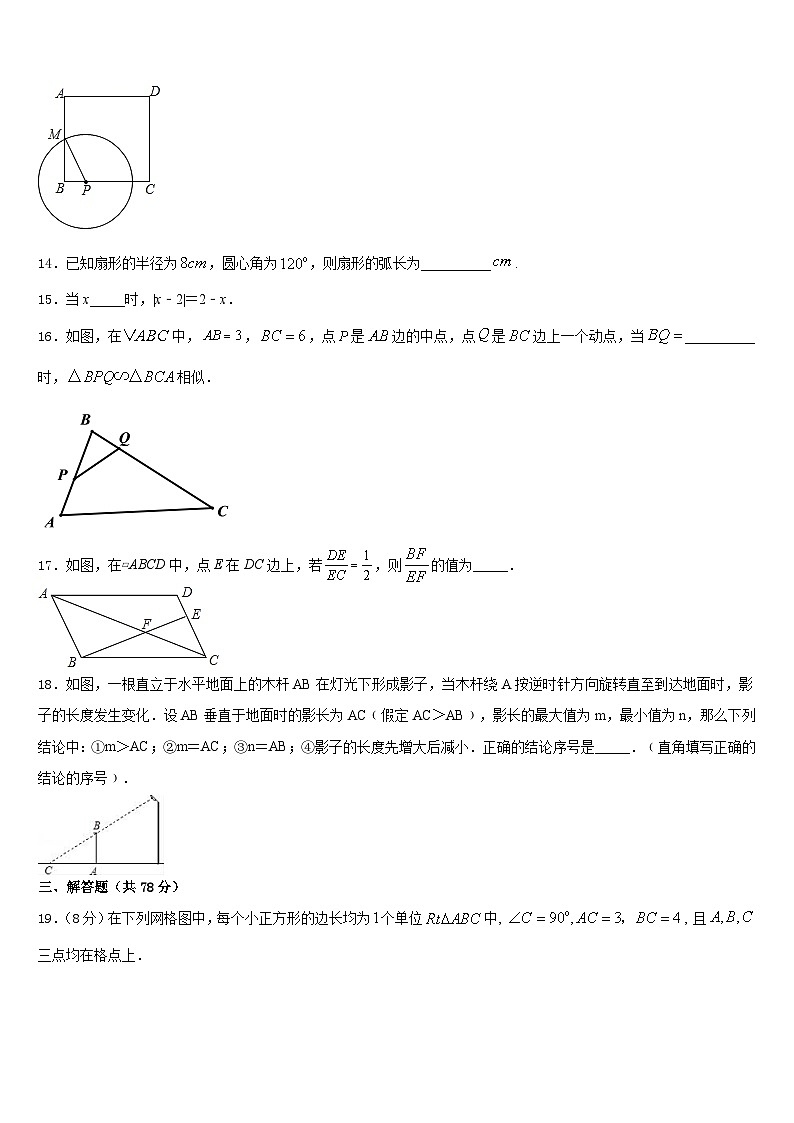 2023-2024学年福建厦门双十中学九上数学期末调研试题含答案03