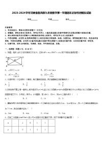 2023-2024学年甘肃省临洮县九年级数学第一学期期末达标检测模拟试题含答案