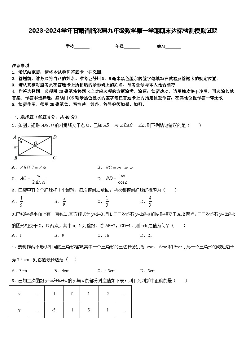 2023-2024学年甘肃省临洮县九年级数学第一学期期末达标检测模拟试题含答案01