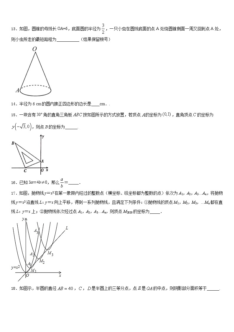 2023-2024学年福建省厦门市湖滨中学九上数学期末联考试题含答案03