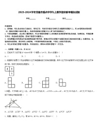 2023-2024学年甘南市重点中学九上数学期末联考模拟试题含答案