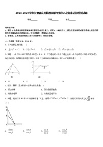 2023-2024学年甘肃省庆阳镇原县联考数学九上期末达标检测试题含答案