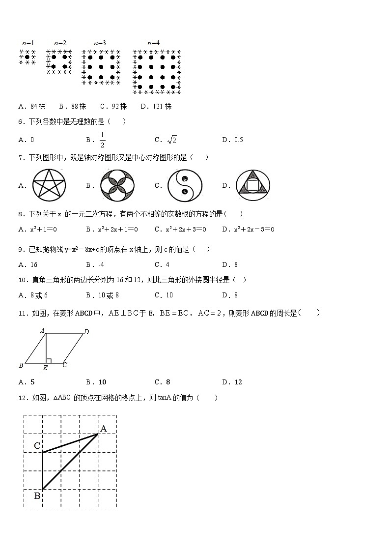 2023-2024学年湖南长沙市青竹湖湘一外国语学校数学九上期末质量检测模拟试题含答案02