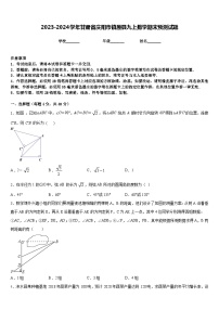 2023-2024学年甘肃省庆阳市镇原县九上数学期末预测试题含答案