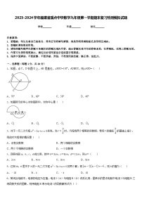 2023-2024学年福建省重点中学数学九年级第一学期期末复习检测模拟试题含答案