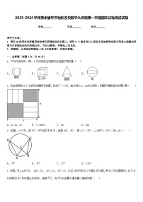 2023-2024学年贵州省毕节地区名校数学九年级第一学期期末达标测试试题含答案