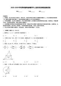 2023-2024学年贵州省黔南州数学九上期末质量跟踪监视试题含答案