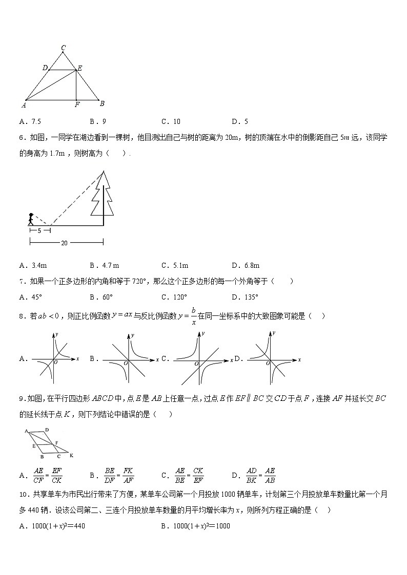 2023-2024学年辽宁省丹东第九中学九上数学期末检测模拟试题含答案第2页