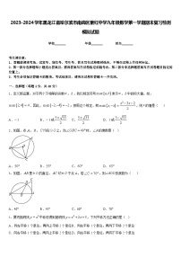 2023-2024学年黑龙江省哈尔滨市南岗区萧红中学九年级数学第一学期期末复习检测模拟试题含答案