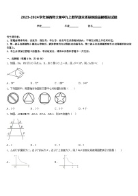 2023-2024学年陕西师大附中九上数学期末质量跟踪监视模拟试题含答案