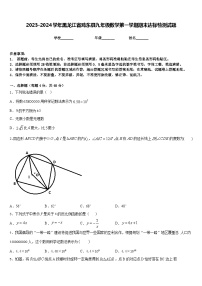 2023-2024学年黑龙江省鸡东县九年级数学第一学期期末达标检测试题含答案