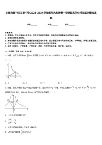 上海市闵行区文莱中学2023-2024学年数学九年级第一学期期末学业质量监测模拟试题含答案