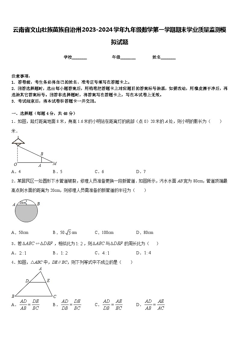 云南省文山壮族苗族自治州2023-2024学年九年级数学第一学期期末学业质量监测模拟试题含答案01