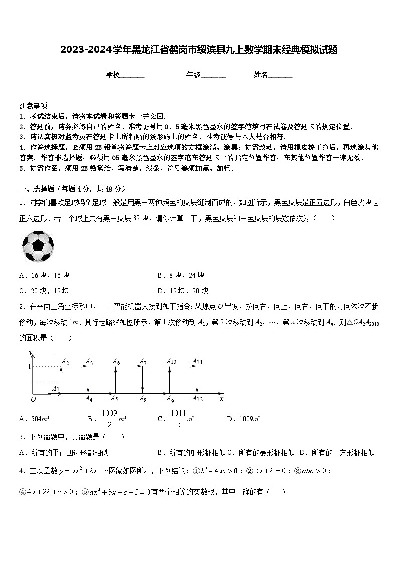 2023-2024学年黑龙江省鹤岗市绥滨县九上数学期末经典模拟试题含答案第1页