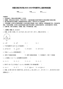 内蒙古通辽市开鲁2023-2024学年数学九上期末预测试题含答案