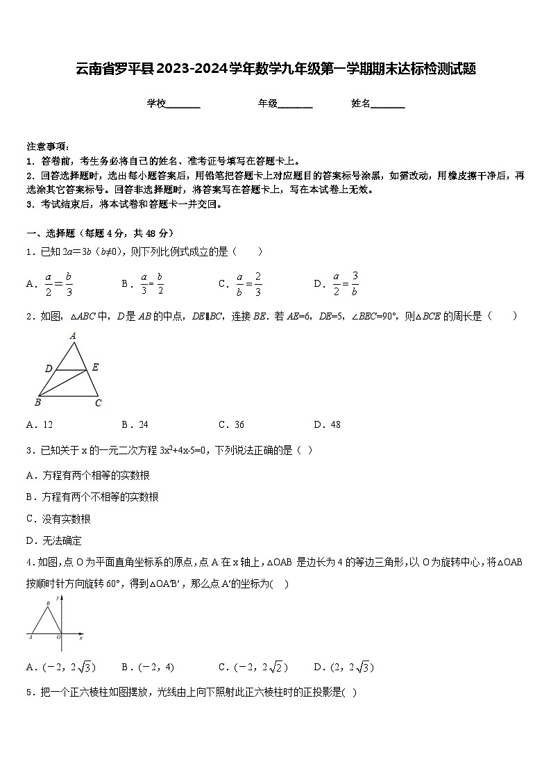 云南省罗平县2023-2024学年数学九年级第一学期期末达标检测试题含答案01
