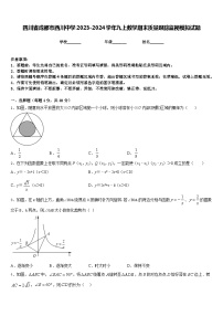 四川省成都市西川中学2023-2024学年九上数学期末质量跟踪监视模拟试题含答案