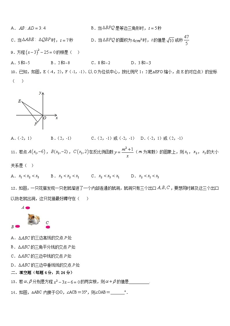 四川省宜宾市中学2023-2024学年数学九年级第一学期期末联考模拟试题含答案03