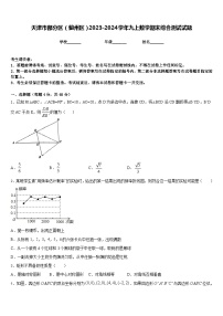 天津市部分区（蓟州区）2023-2024学年九上数学期末综合测试试题含答案