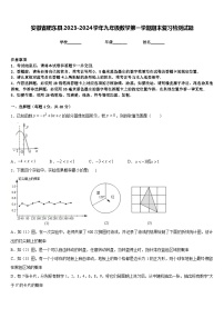 安徽省肥东县2023-2024学年九年级数学第一学期期末复习检测试题含答案