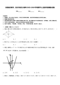 安徽省合肥市、安庆市名校大联考2023-2024学年数学九上期末检测模拟试题含答案