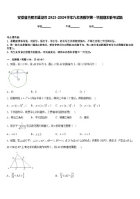 安徽省合肥市巢湖市2023-2024学年九年级数学第一学期期末联考试题含答案