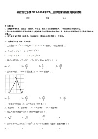 安徽省无为县2023-2024学年九上数学期末达标检测模拟试题含答案