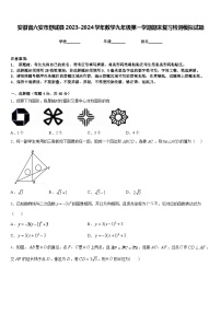 安徽省六安市舒城县2023-2024学年数学九年级第一学期期末复习检测模拟试题含答案