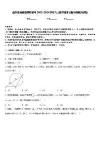 山东省德州临邑县联考2023-2024学年九上数学期末达标检测模拟试题含答案