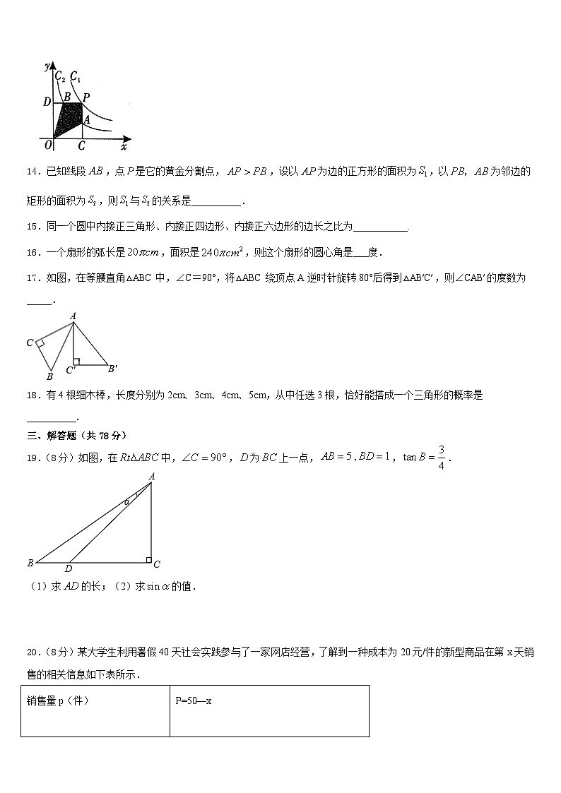 山东省东平实验中学2023-2024学年数学九上期末调研试题含答案03