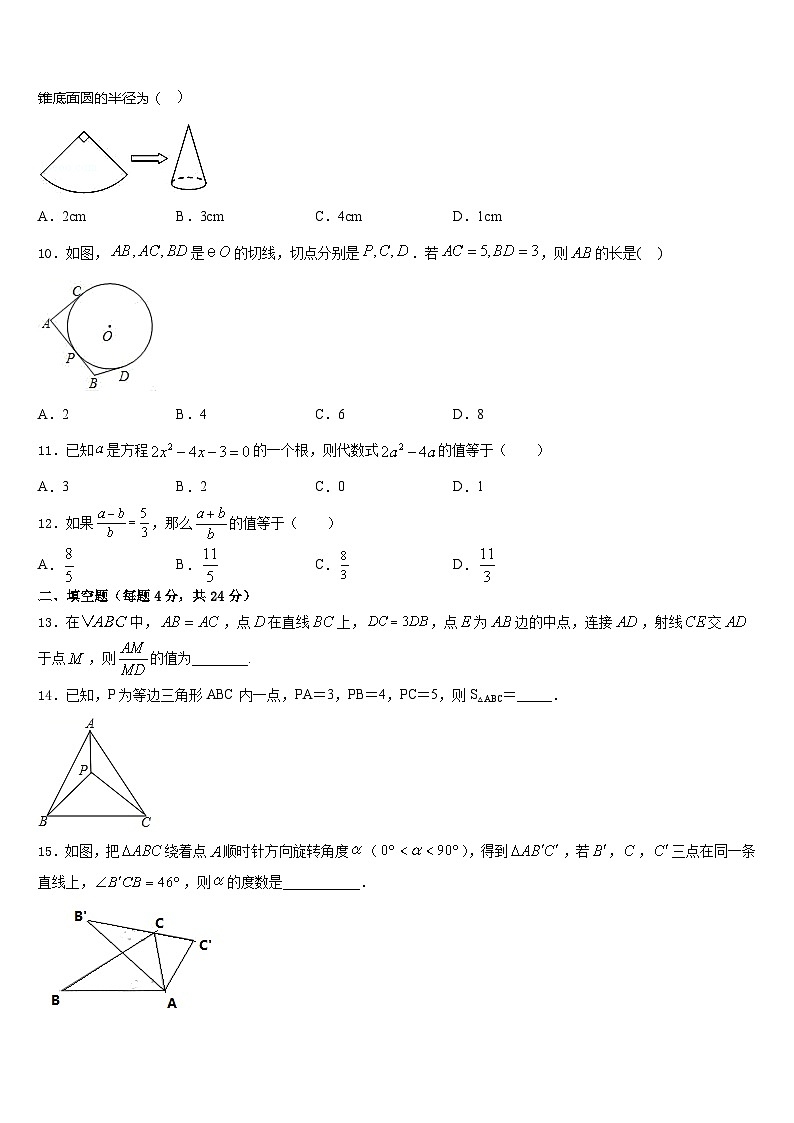 山东省临沂市临沭县第五初级中学2023-2024学年数学九年级第一学期期末教学质量检测试题含答案第3页