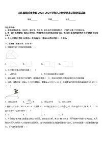 山东省临沂市费县2023-2024学年九上数学期末达标测试试题含答案