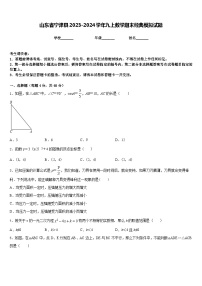 山东省宁津县2023-2024学年九上数学期末经典模拟试题含答案