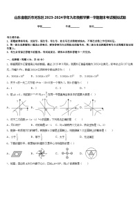 山东省临沂市河东区2023-2024学年九年级数学第一学期期末考试模拟试题含答案