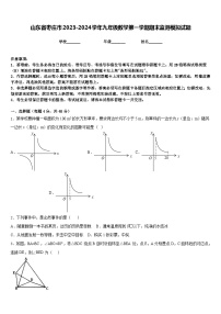 山东省枣庄市2023-2024学年九年级数学第一学期期末监测模拟试题含答案