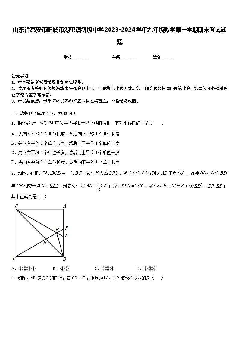 山东省泰安市肥城市湖屯镇初级中学2023-2024学年九年级数学第一学期期末考试试题含答案第1页