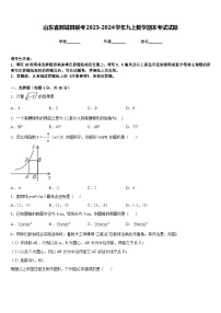 山东省鄄城县联考2023-2024学年九上数学期末考试试题含答案