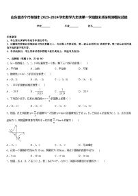 山东省济宁市邹城市2023-2024学年数学九年级第一学期期末质量检测模拟试题含答案