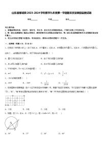 山东省郓城县2023-2024学年数学九年级第一学期期末质量跟踪监视试题含答案