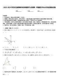 2023-2024学年河北省邯郸市鸡泽县数学九年级第一学期期末学业水平测试模拟试题含答案