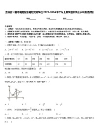 吉林省长春市朝阳区新朝阳实验学校2023-2024学年九上数学期末学业水平测试试题含答案